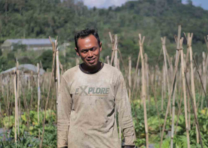 Mengenal Desa BRILian Sumowono, Desa Sayur yang Tumbuh dan Terus Berinovasi Bersama BRI