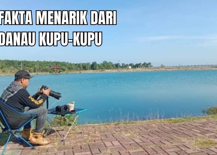 Berjarak 41 Km dari Palembang, Ini Fakta Menarik dari Danau Kupu-kupu Cantik, Tertarik?
