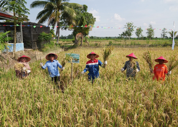 Festival Pangan Lokal, Wujud Komitmen Kilang Pertamina Plaju Terhadap Pangan Berkelanjutan