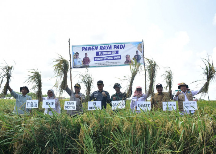 Petani OKI Dapat Manfaat Opla, Bisa Panen Tiga Kali Setahun