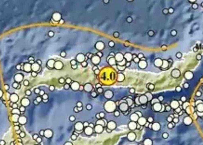 Gempa Magnitudo 4,0 Pagi Ini Guncang Boalemo Gorontalo, Tak Berpotensi Tsunami