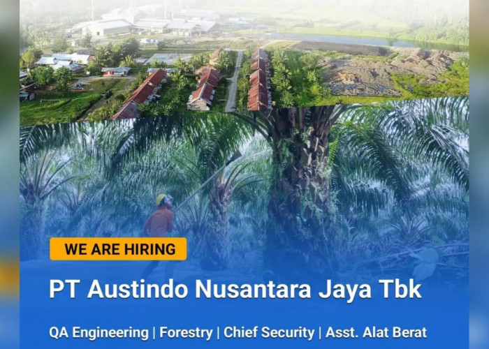 4 Posisi Jabatan Dibuka PT Austindo Nusantara Jaya Tbk (ANJ) Melalui Lowongan Kerja Terbaru, Begini Syaratnya