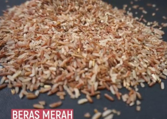 Ternyata Beras Merah Menurunkan Risiko Penyakit Jantung, Berikut Manfaat Lainnya