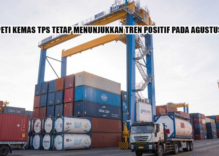 GAK ADA OBAT! Arus Peti Kemas TPS Agustus 2026 Tembus 128 Ribu TEUs, Ekspor RI Menggila Bantai Target!