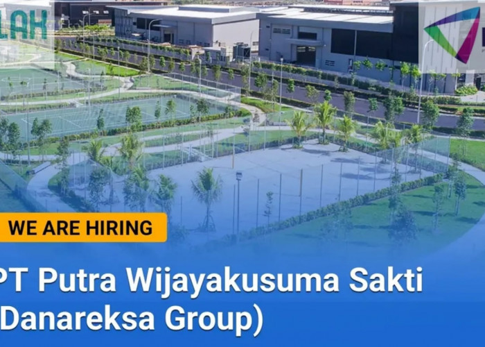 BUMN Group PT Putra Wijayakusuma Sakti (Danareksa) Buka Lowongan Kerja Terbaru, Ini Syarat dan kualifikasinya!