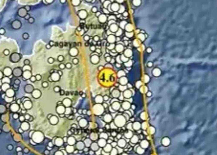 Gempa 4,6 Magnitudo Kembali Guncang Melonguane, Tak Berpotensi Tsunami