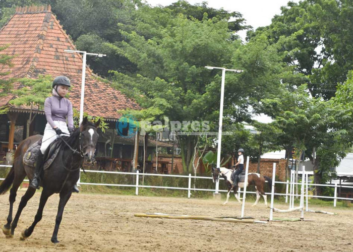 Satu-satunya di Palembang! Sensasi Berkuda dan Nongkrong Estetik di Bale Lazara
