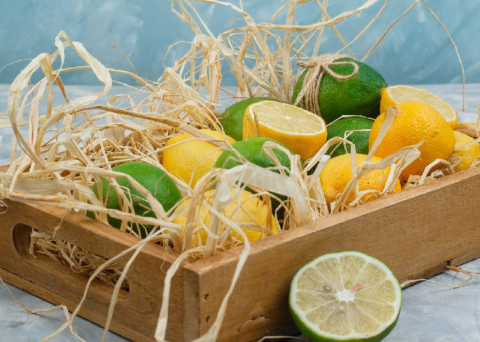 7 Manfaat Buah Lemon, Dipercaya Bagus untuk Kesehatan dan Kecantikan Kulit!, Benarkah?