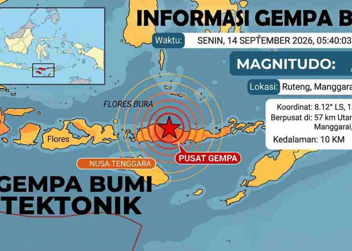 Pagi-pagi Gempa M5,1 Guncang Ruteng NTT, Ini Daftar Lokasi dan Kedalamannya