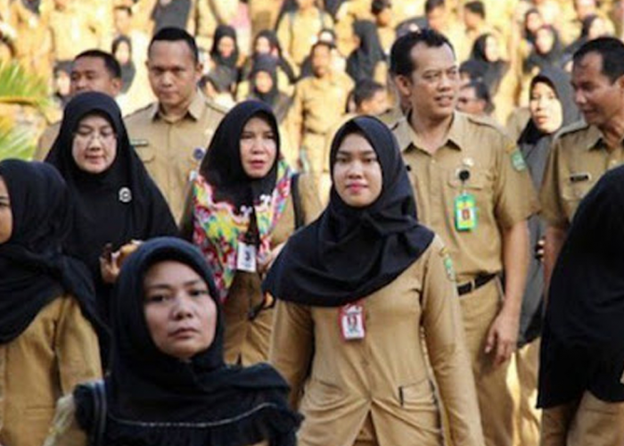 Pegawai Honorer Akan Full Senyum Tahun Ini, Jokowi Sudah Bikin Keputusan, Mereka Akan...