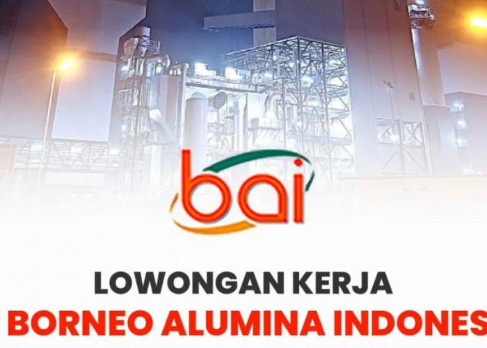 Lowongan Kerja BUMN PT Borneo Alumina Indonesia Program Internship Posisi Receptionist