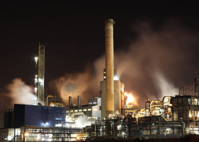 Dicaplok Perusahaan Singapura, Pabrik Smelter Nikel di Sulawesi Tengah Ternyata Kapasitas Produksinya Segini