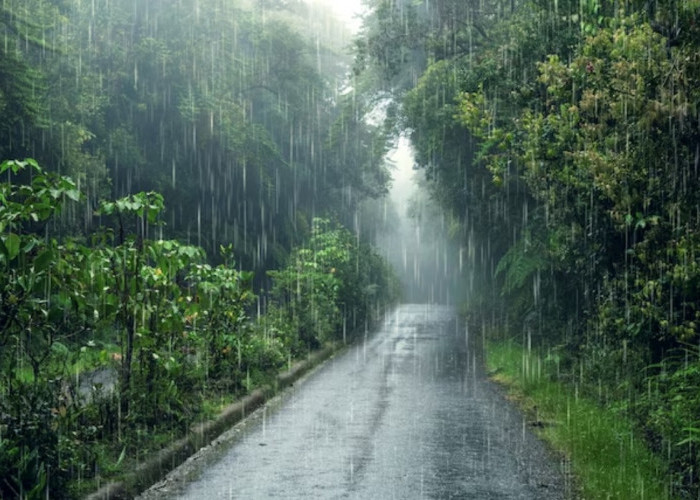 Peringatan Dini Hari Hari Selasa 16 Januari 2024: Daerah Sumatera Selatan Diprediksi Hujan Ringan Hingga Petir