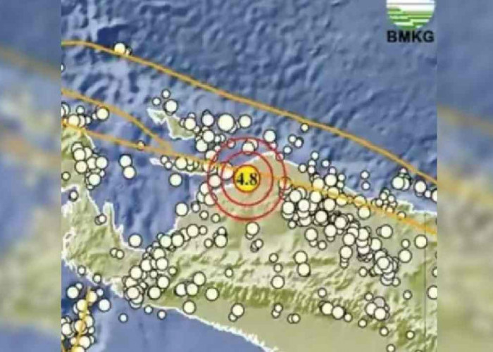 Update BMKG, Pagi Ini Gempa 4.8 Magnitudo Guncang Papua, Tak Berpotensi Tsunami