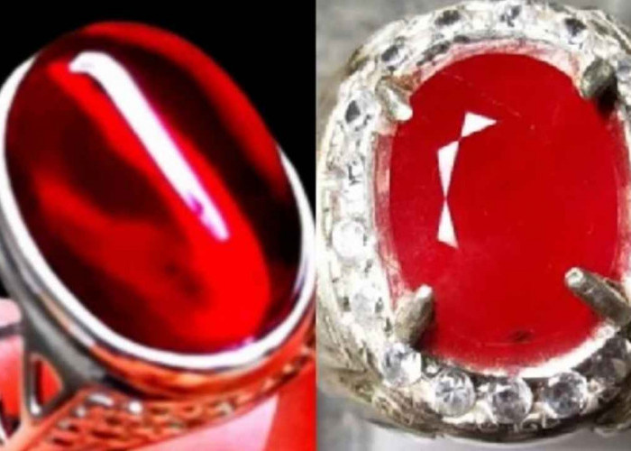 BIKIN HEBOH! Rahasia Batu Akik Merah Delima, Konon Bisa Angkat Derajat Sekaligus Menarik Musibah
