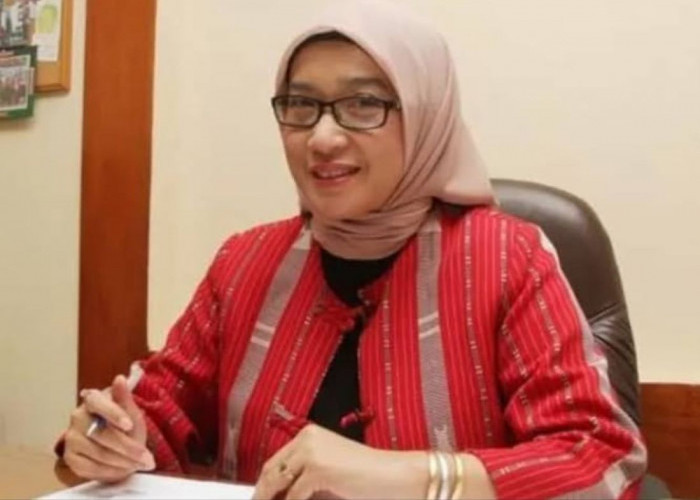 MenPAN RB Bicara PPPK Paruh Waktu, Begini Nasib Kedepannya