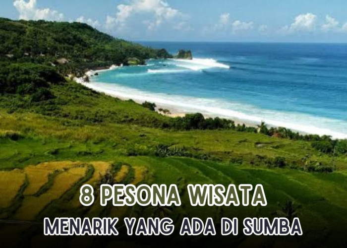 8 Objek Wisata di Sumba yang Menarik untuk Dikunjungi, Yuk Cobain Sensasi Tempat Snorkeling Terbaik di Dunia