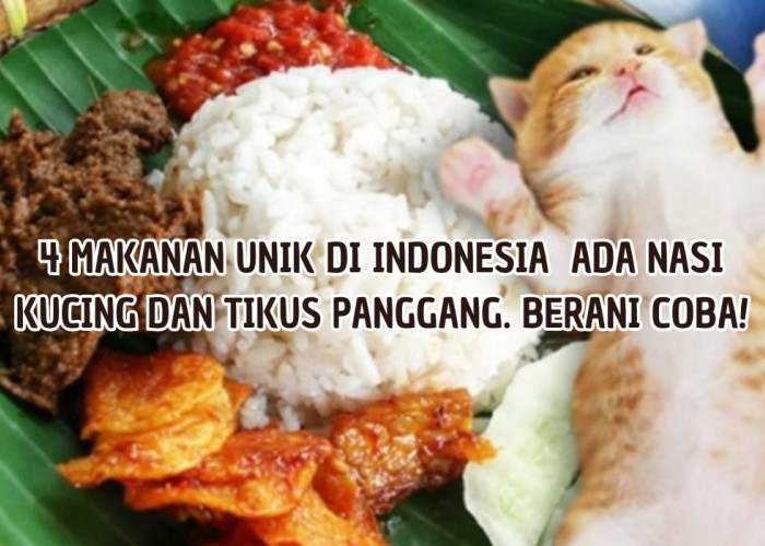 4 Makanan Unik di Indonesia, Ada Nasi Kucing  dan Tikus Panggang, Pernah Nyoba?