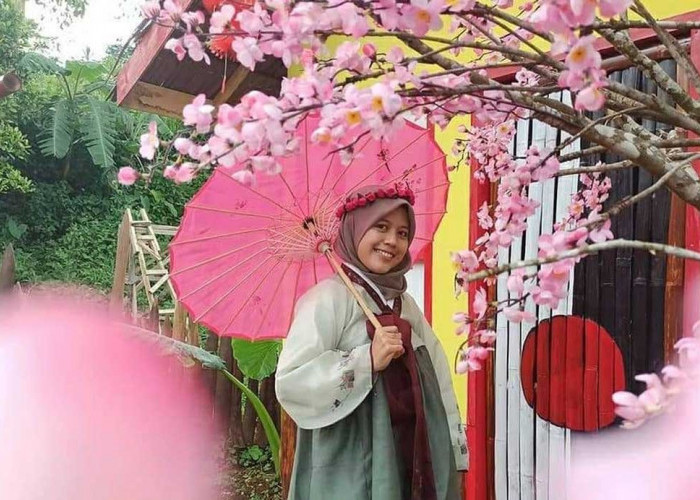 Nikmati Sensasi Drakor di Banten! Ada Pohon Sakura, Busana Khas Hingga Pemandangan Indah, Nih Lokasinya