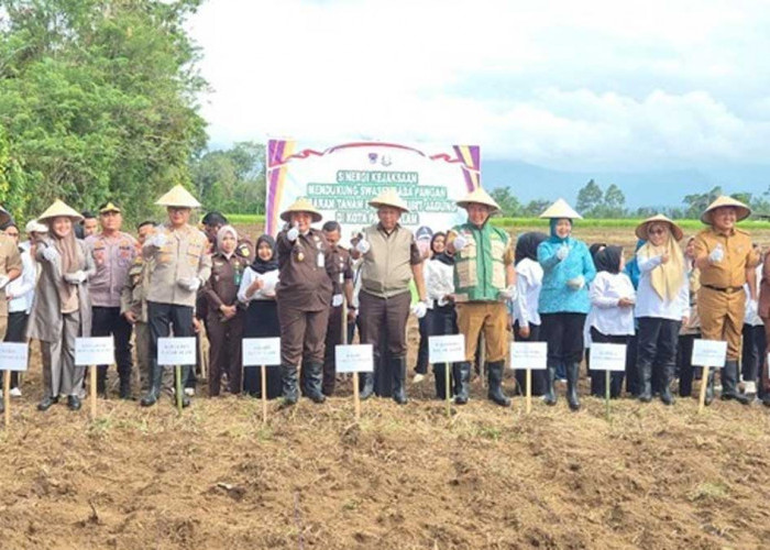 Wujudkan Asta Cita Presiden, Kajati Sumsel dan Kajari Pagar Alam Sulap Lahan Jadi Kebun Jagung