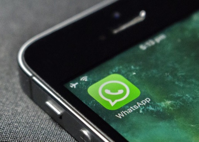 WhatsApp Eror, Pengguna Bingung Tak Bisa Kirim Pesan