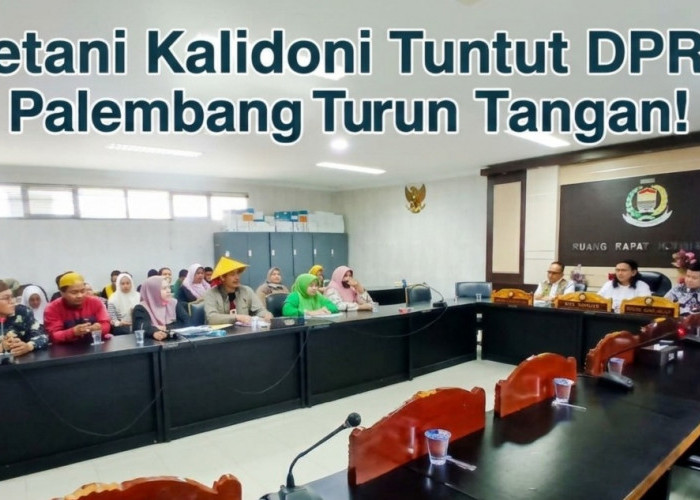 Lahan Sawah Diduga Ditimbun Developer, Petani Kalidoni Tuntut DPRD Palembang Turun Tangan!