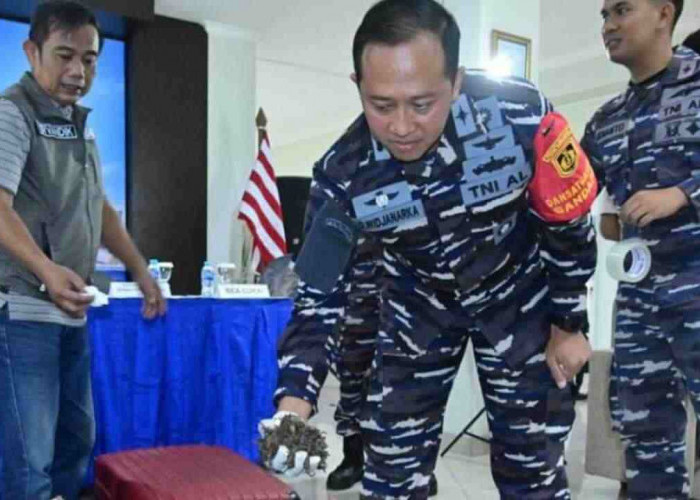 Mantap! TNI AL Gagalkan Pengiriman Kajengking Kering Ilegal, Segini Jumlahnya