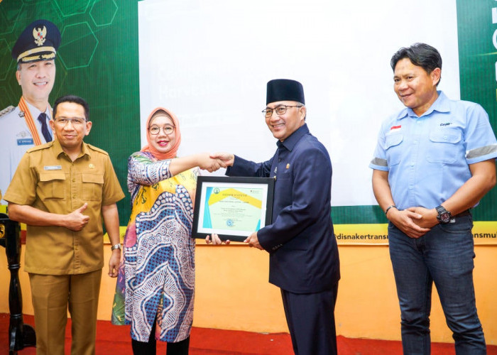 MANTAP, Muba Daerah Pertama di Indonesia Adakan Latihan Tenaga Pemanen Buah Sawit Bersertifikat BNSP
