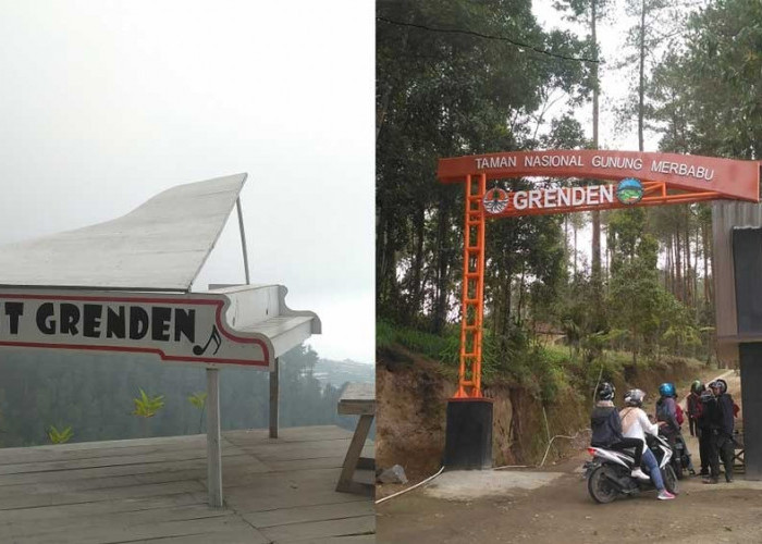 Menilik Pesona Wisata Alam Bukit Grenden, Tawarkan Spot Foto yang Menarik dan Instagramable 
