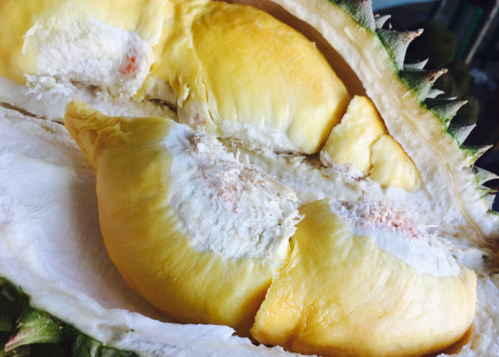 6 Kecamatan Penghasil Durian di Nganjuk, Semula Dikira Sawahan Juaranya, Ternyata?