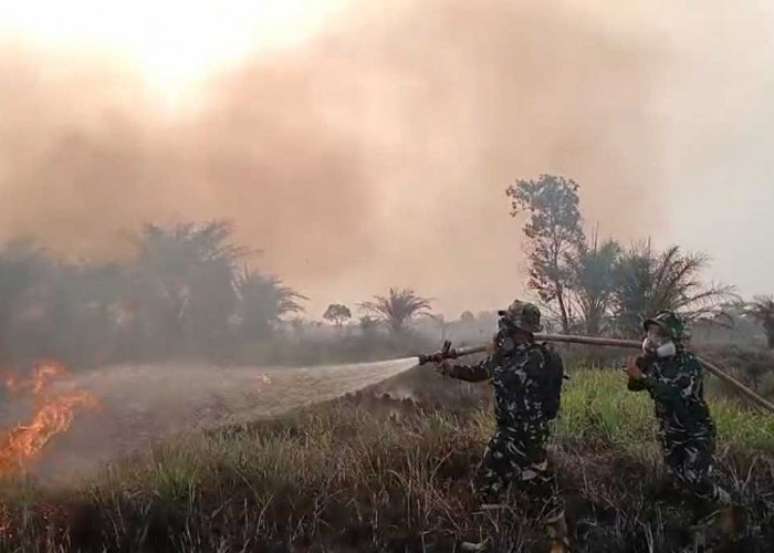 Gerak Cepat! TNI dan Tim Gabungan Berhasil Jinakkan Karhutla Seluas 2 Hektare di Ogan Ilir