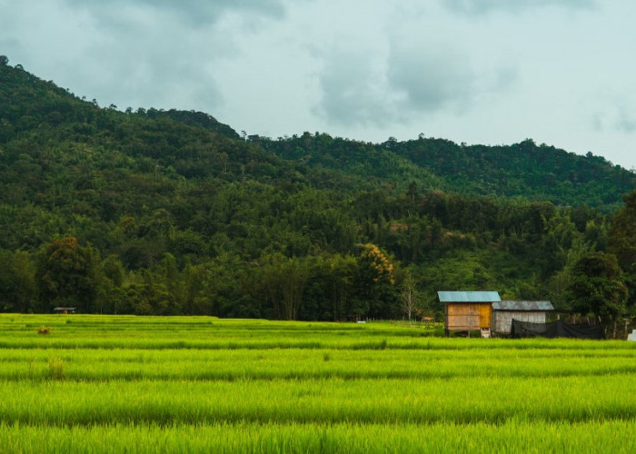 Kampung Terpencil di Kebumen, Tersembunyi di Balik Hutan Pegunungan, Hanya Dihuni 7 KK, Viewnya Bak Surga  