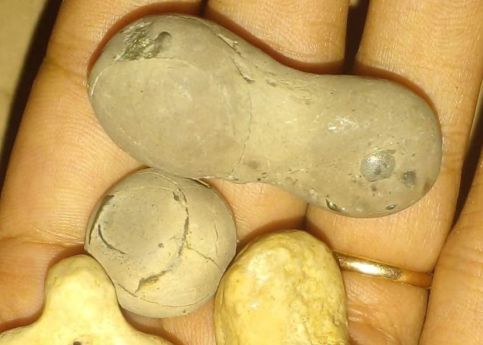 Bentuknya Mirip Kacang Tanah tapi Batu Akik Ini Sakti Mandraguna