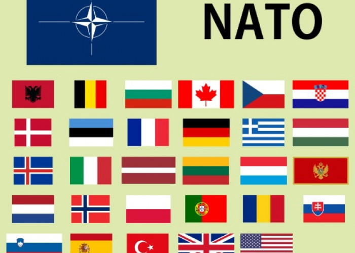 Ini 5 Alasan Rusia Sangat Membenci NATO, No 4 Bikin Emosi 