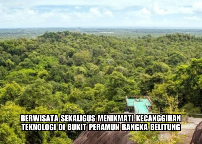 Destinasi Wisata Bukit Peramun di Bangka Belitung, Wisata Hutan Berbasis Digital yang Memiliki 147 Jenis Flora