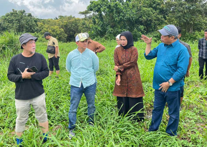 Bakal Jadi Ikon Baru Lahat! Bupati Bursah Zarnubi Sulap Danau Batu Jadi Wisata Alam Terpadu