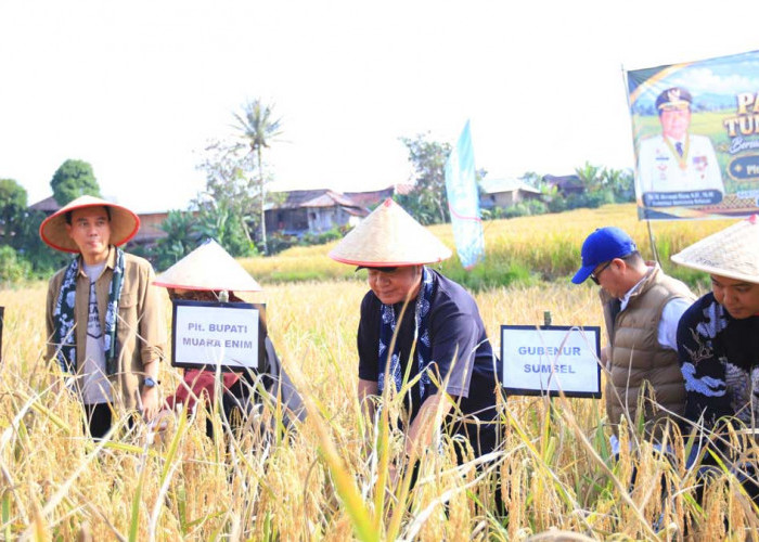 Bantu Traktor hingga Tingkatkan Produktivitas Padi, Ini Komitmen Nyata Herman Deru untuk Petani Muara Enim