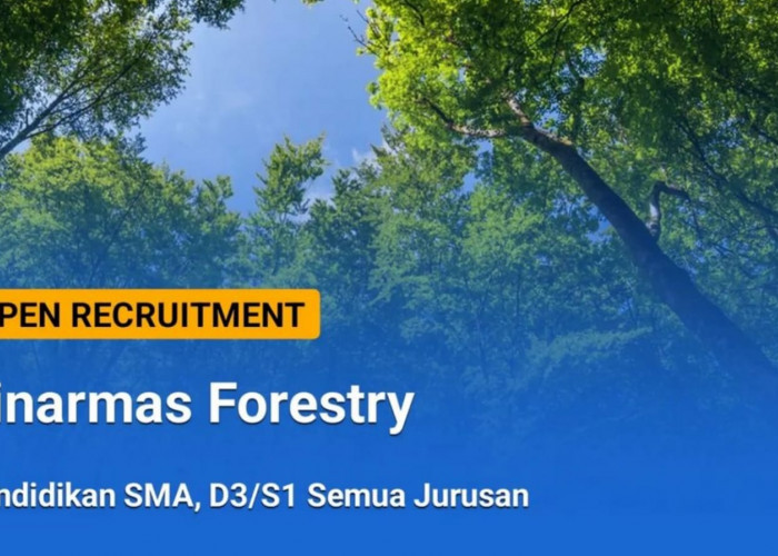 8 Lowongan Kerja Sinarmas Forestry (SMF) Perusahaan HTI Terbesar di Indonesia untuk SMA D3 S1