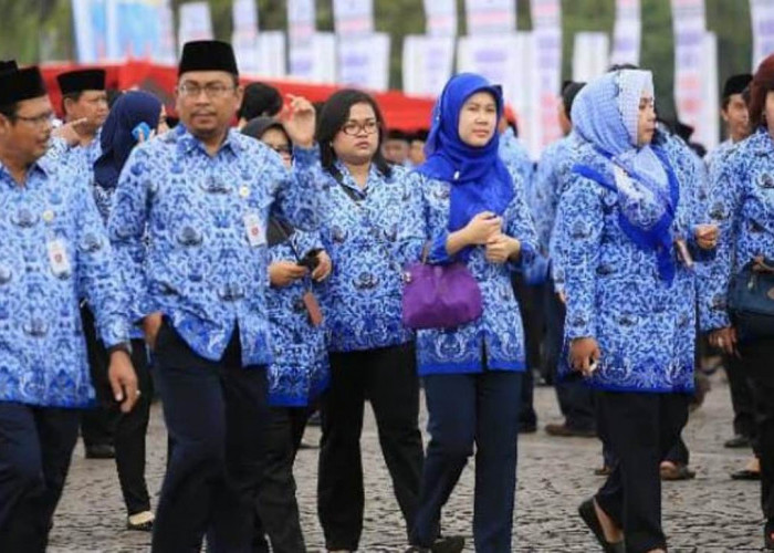 Calon Pendaftar CPNS Wajib Tahu! Inilah Daftar Gaji PNS Terbaru 2024