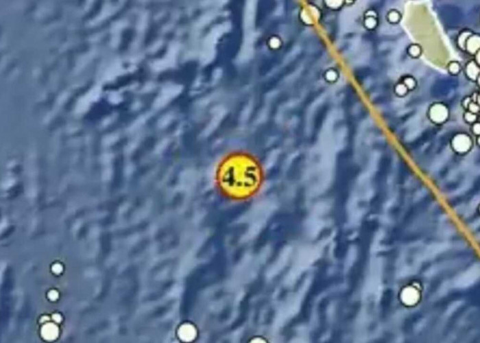 Gempa Magnitudo 4,5 Guncang Kepulauan Mentawai Pagi Ini, Tak Berpotensi Tsunami
