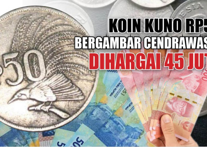 Idola Kolektor, Koin Kuno Rp50 Bergambar Cendrawasih Dihargai 45 Juta, Kamu Punya?