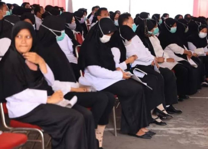 HORE! Honorer Kategori Ini Bakal Dapat NIP ASN Sebagai Pegawai Pemerintah Paruh Waktu