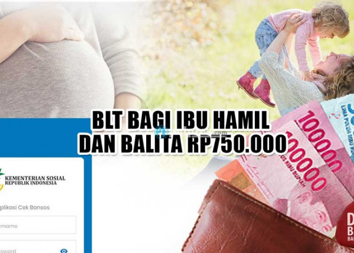 Ada BLT Bagi Ibu Hamil dan Balita Cair Juli Ini Rp750.000, Begini Cara Dapatnya!                  