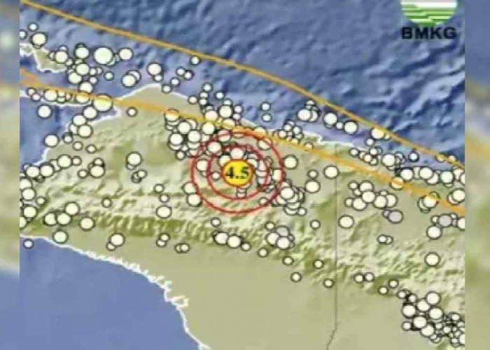 Gempa 4.5 Magnitudo Guncang Papua Pagi Ini, Kedalamannya 18 Km, Tak Berpotensi Tsunami