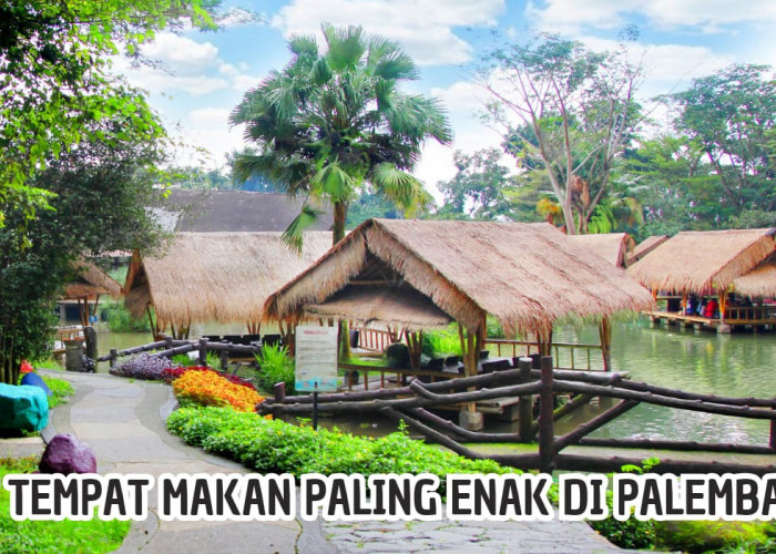 7 Tempat Makan Paling Enak di Palembang, Ada Pempek Hingga Aneka Pindang, Harga Mulai Rp5 Ribu Aja