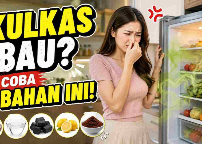 Kulkas Bau Tak Sedap? 5 Benda Rumahan Ini Bisa Bikin Aromanya Kembali Segar