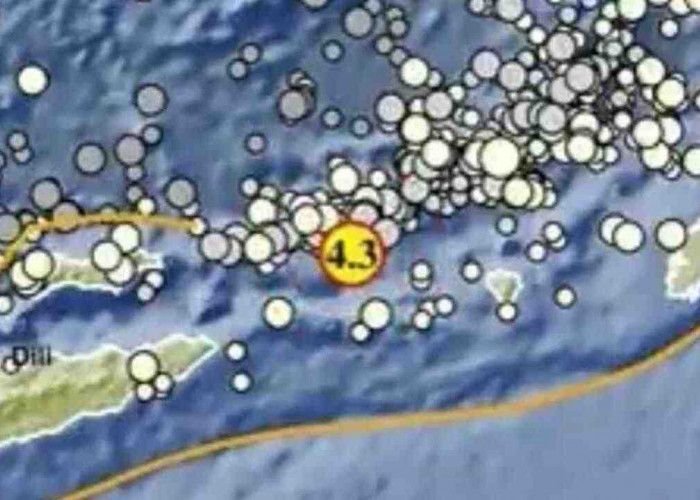 Gempa Magnitudo 4,3 Guncang Maluku Barat Daya pada Kedalaman 174 Km, Tak Berpotensi Tsunami