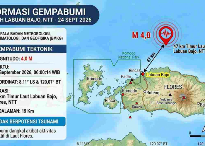 Gempa Magnitudo 4,0 Guncang Labuan Bajo NTT Pagi Ini, BMKG: Tak Berpotensi Tsunami