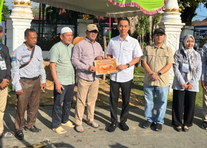 Peternak Desa Sumber Deras Ketiban Rezeki Nomplok, Sapi Raksasanya Dibeli RI 1 untuk Masjid Agung Sholihin