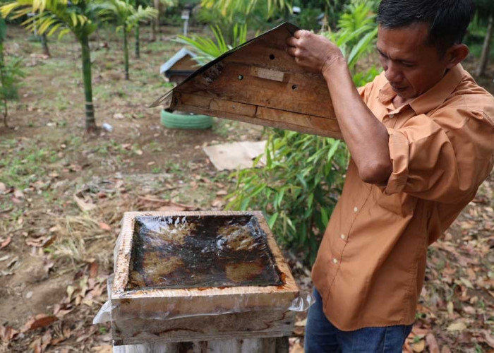 Tingkatkan Kesejahteraan Masyarakat, Bukit Asam Gelar Pelatihan Pengolahan Madu hingga Penanganan Hama